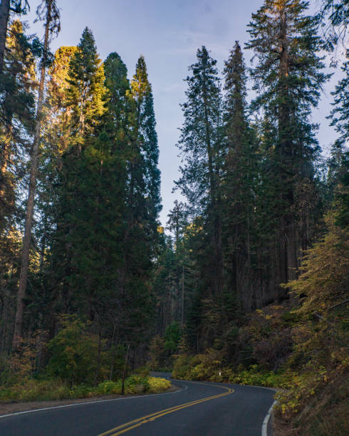 istock Mountain Landscape - Driving through Sequoia & King Canyon National Parks 1793144576