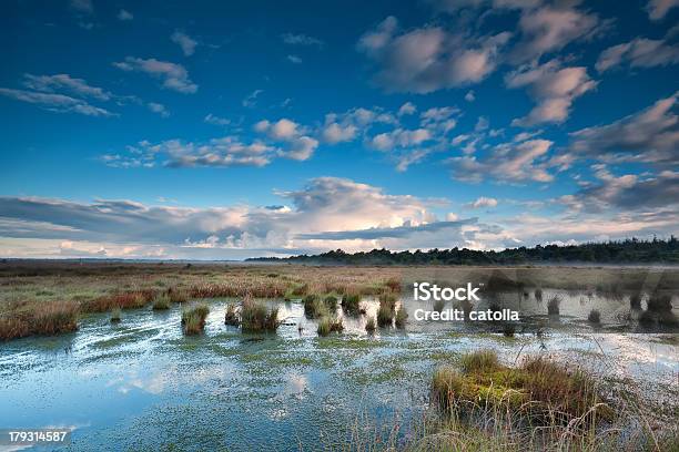 Błękitne Niebo Nad Swamp - zdjęcia stockowe i więcej obrazów Bagno - Bagno, Bez ludzi, Chmura