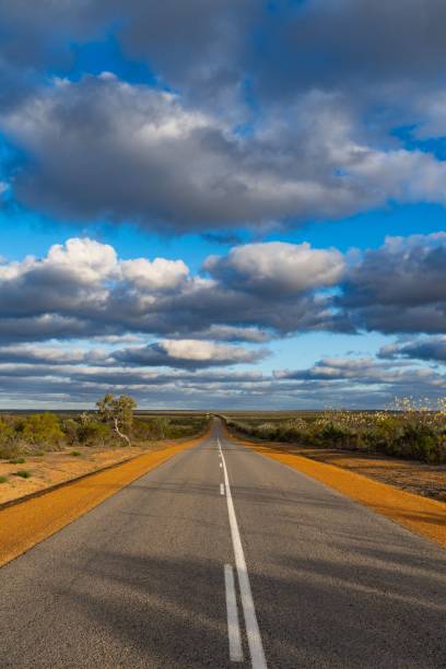 istock the asphalted road in the outback on an overcast day 1793147797