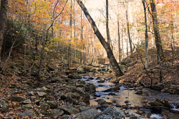 istock Mountain Creek Vie in Blue Ridge Mountains 1793157233