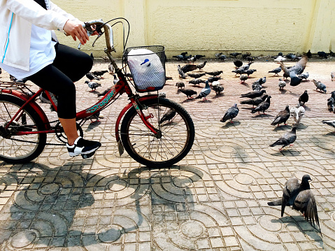 Bangkok, Thailand - May 15, 2018: Woman cycling on sidewalk with many pigeons Living together with humans and animals or bird in city. People with animal and vehicle.