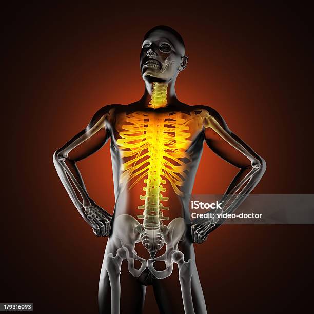 Radiografía Humanos Barrido Foto de stock y más banco de imágenes de Adulto - Adulto, Anatomía, Articulación