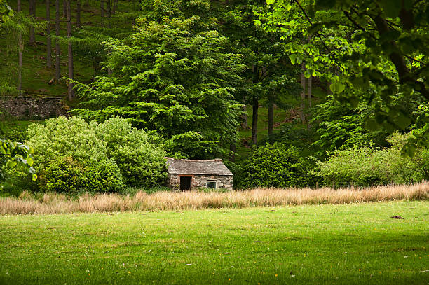 istock Cottage by the Lake 179318042