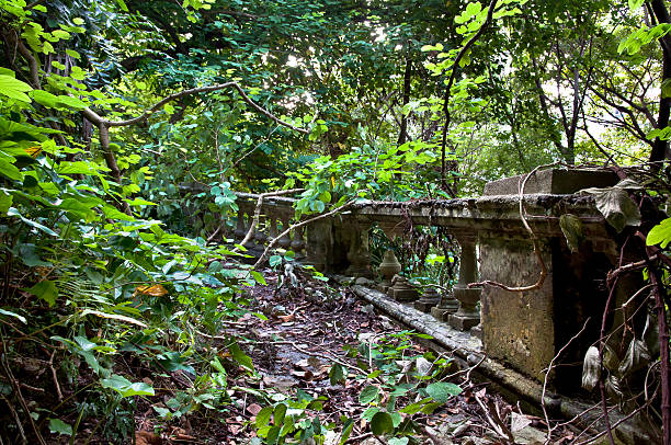 istock Overgrowth reclaims an abandoned building, Hong Kong 179318621