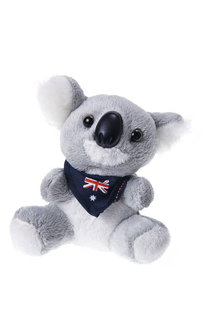 koala di peluche - koala stuffed animal australia souvenir foto e immagini stock