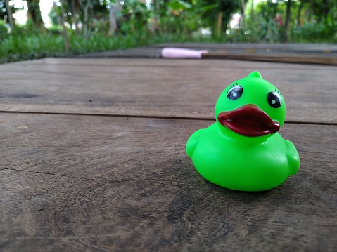 Green duck toy on wooden board