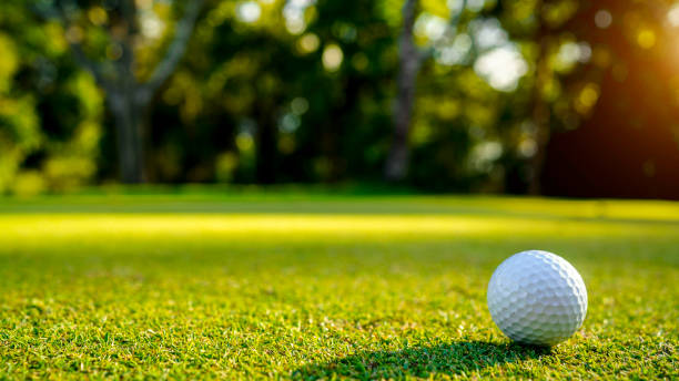 istock Golf ball on green grass in the evening golf course with sunshine background. 1793190851