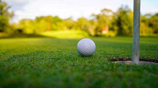 istock Golf ball on green grass in the evening golf course with sunshine background. 1793191910