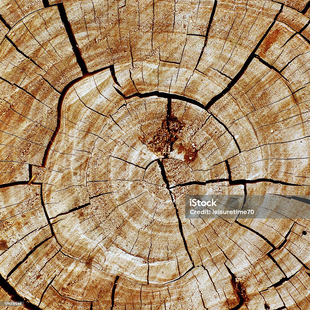 Baumrinde - Lizenzfrei Abstrakt Stock-Foto