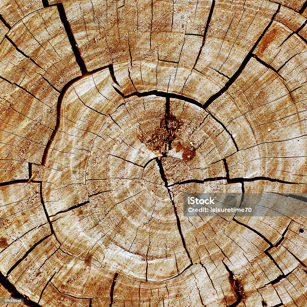 Kora drzewa - Zbiór zdjęć royalty-free (Abstrakcja)