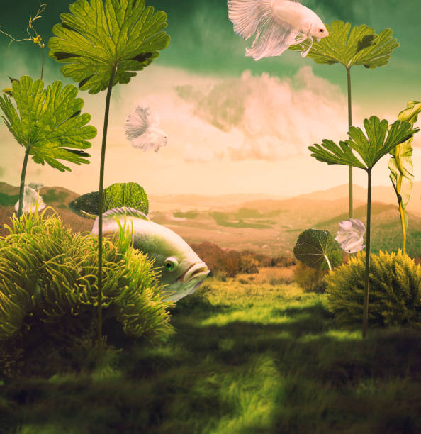 surreal fairy nature background with giant fish stock photo