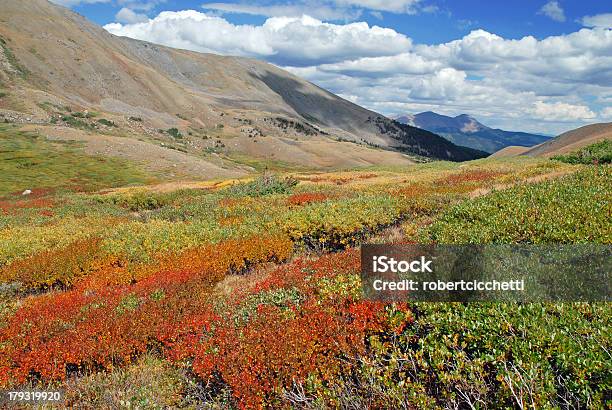 Photo libre de droit de Automne Dans La Chaîne Des Sawatch Dans Le Colorado banque d'images et plus d'images libres de droit de Alpinisme