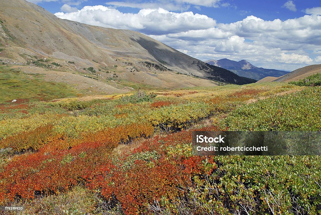 Outono nas Montanhas Sawatch, Colorado - Foto de stock de Arbusto royalty-free