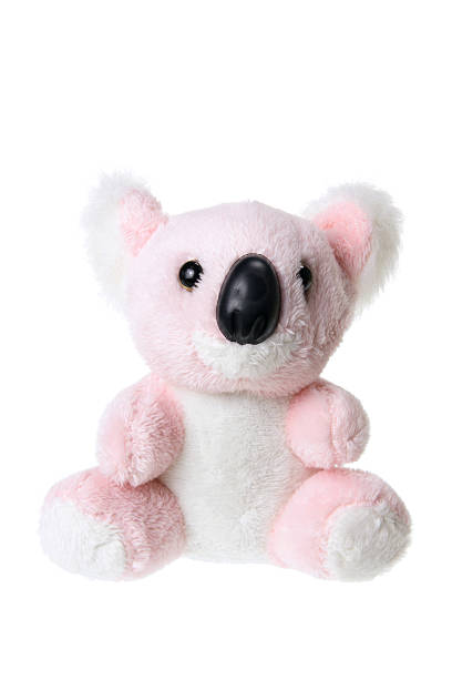 koala di peluche - koala stuffed animal australia souvenir foto e immagini stock