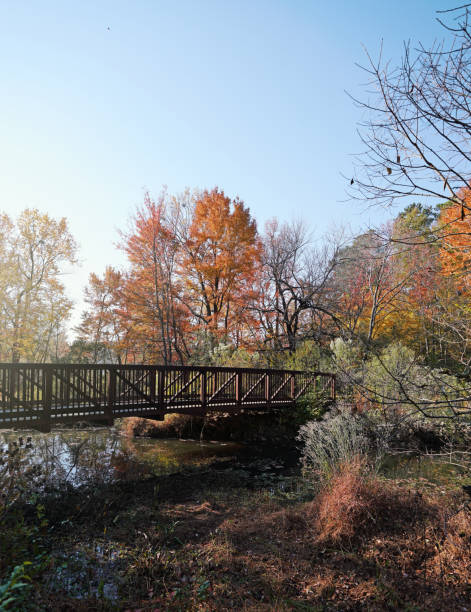 istock Greenway walking path bridge at Lake Raleigh with colorful Fall foliage 1793221215