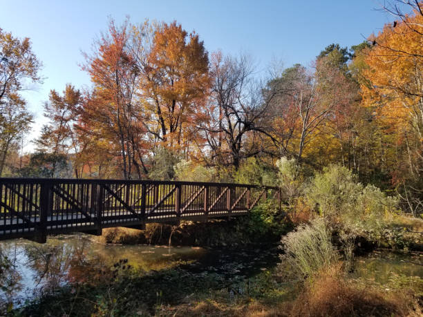 istock Greenway walking path bridge at Lake Raleigh with colorful Fall foliage 1793222838