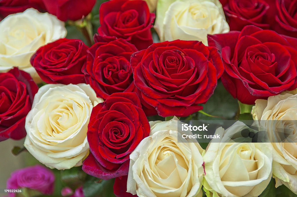 Ramo de rosas - Foto de stock de Belleza de la naturaleza libre de derechos