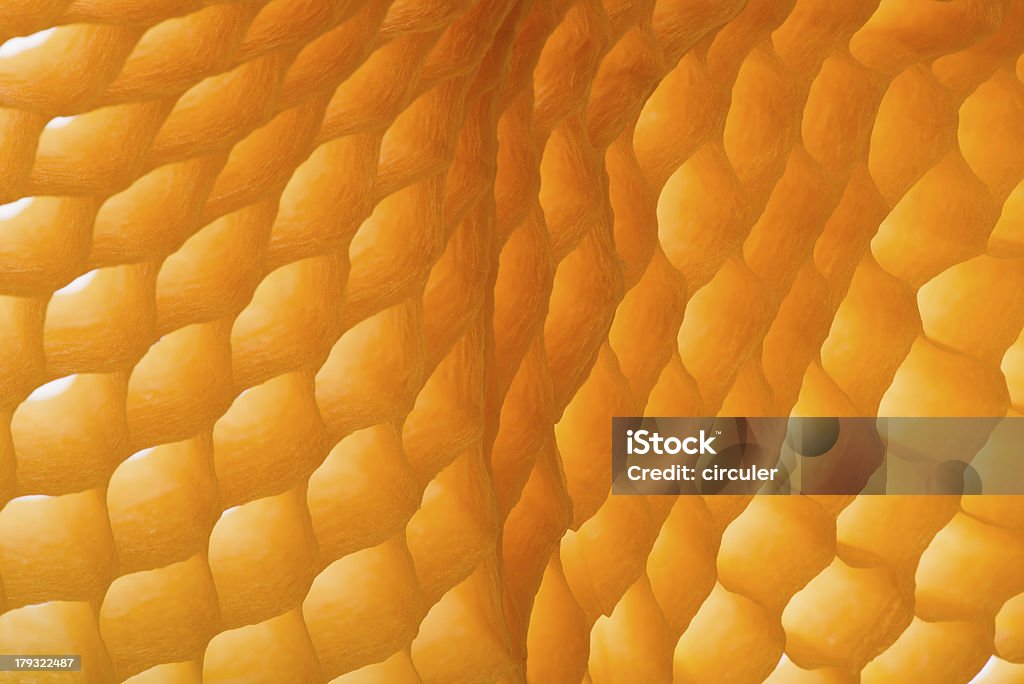 Orange Gelb, Marbledefect Papier Hintergrund - Lizenzfrei Formatfüllend Stock-Foto