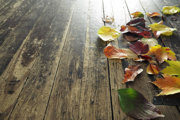 Close up view on a wet green and yellow leaves of maple and chestnut trees with shallow depth of focus on the wet wooden platform made of planks on the diagonal of the frame. Selective focus.