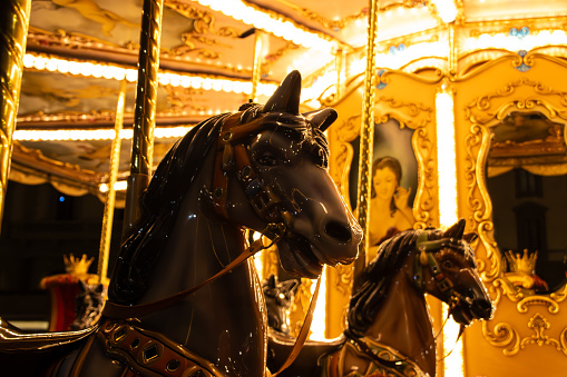 Black carousel horse in the park after dark