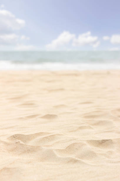 istock beach and sea summer nature background 1793234735