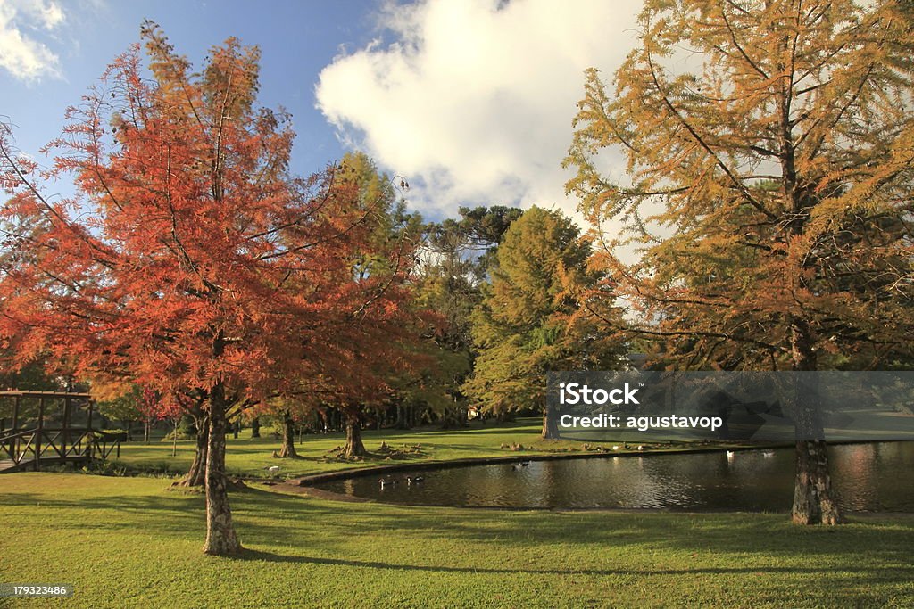 paradise: lake & trees green garden central park in autumn Beautiful and relaxing scenery in Gramado, southern Brazil. Autumn Stock Photo