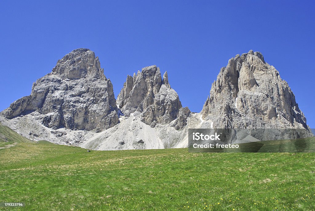 Dolomites Unesco Summer portrait of Italian Dolomites in val di Fassa South Tyrol Alps Italy Alto Adige - Italy Stock Photo