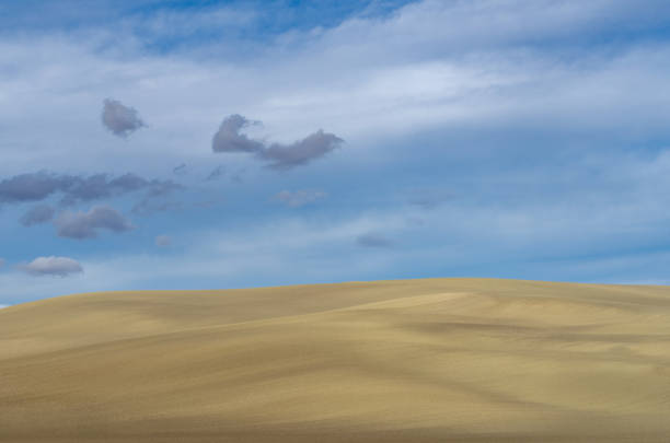 istock Basilicata countryside, Southern Italy 1793239016