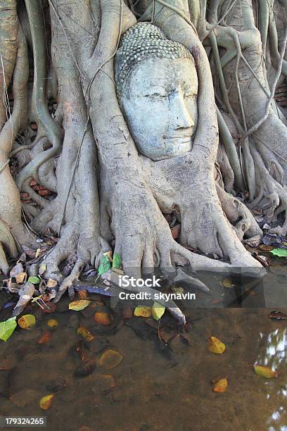 Foto de Cabeça De Arenito Buda De Raízes De Árvore e mais fotos de stock de Abraçar - Abraçar, Arcaico, Arenito