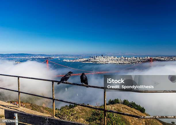 Foto de Ponte Golden Gate De São Francisco Pelas Fog e mais fotos de stock de Arquitetura - Arquitetura, Califórnia, Centro da cidade