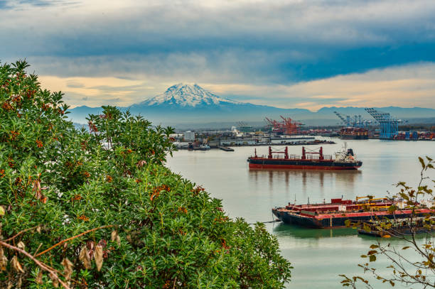 istock Tacoma Port View 1793253406