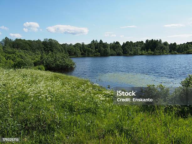 Foto de Lago No Verão e mais fotos de stock de Azul - Azul, Bebida gelada, Beleza