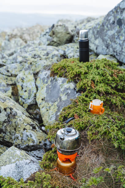istock Camping tableware, portable cooking burner, cooking system, metal kettle, thermos with tea, nature hike. 1793260345
