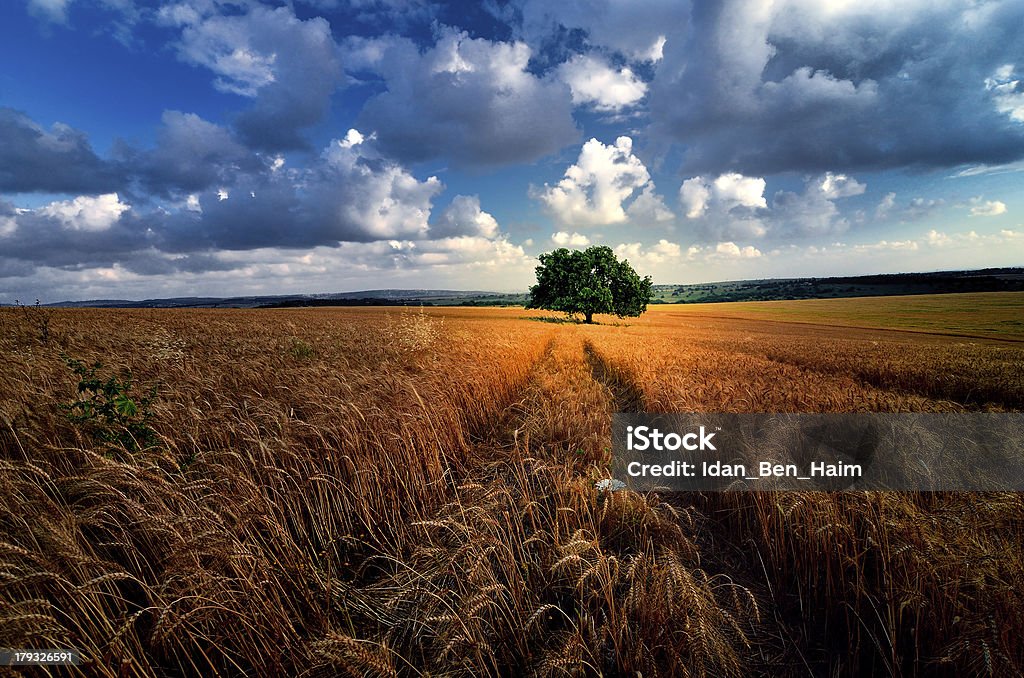 Beliebter Ort - Lizenzfrei Abgeschiedenheit Stock-Foto