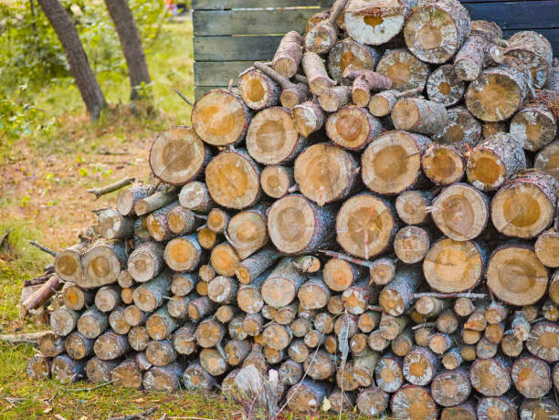 istock Stacks of firewood 1793267468