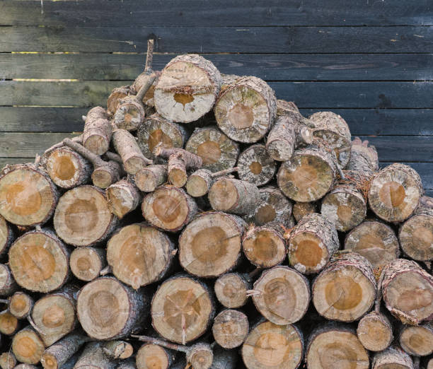 istock Stacks of firewood 1793267469