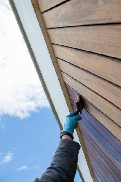 istock Restoration of hardwood facade siding, dramatic low angle view, hand with paint brush oiling exterior wood 1793270776