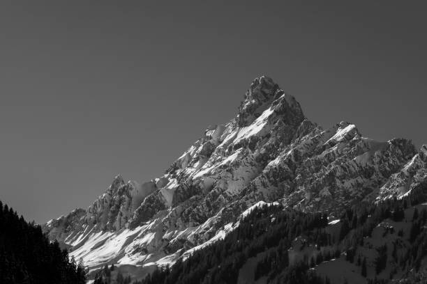 istock the snow covered mountains have trees on them and evergreens in front 1793283155