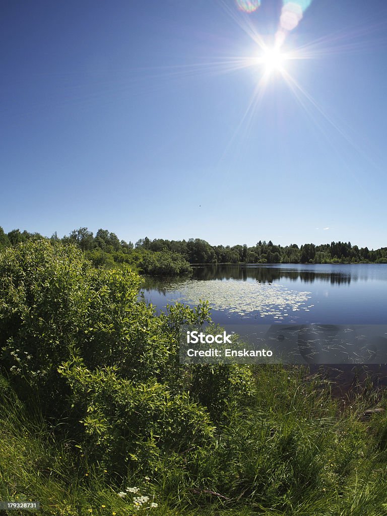 Lago en el verano - Foto de stock de Agua libre de derechos