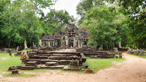 ta phrom tree świątynia sławy tomb raider - bayon phrom zdjęcia i obrazy z banku zdjęć