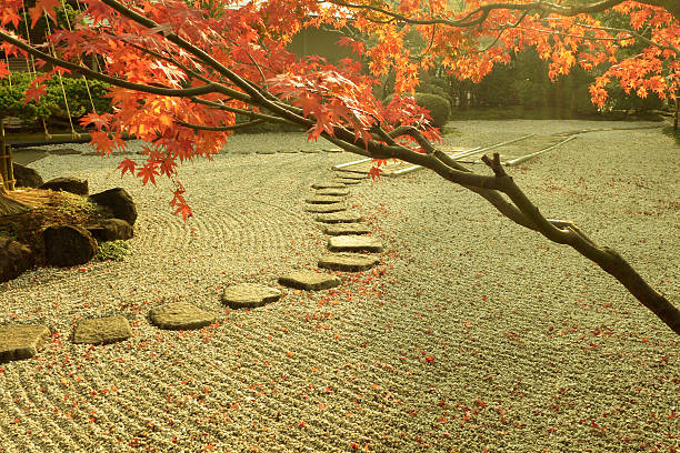 automne dans le jardin - japanese culture landscape landscaped ornamental garden photos et images de collection