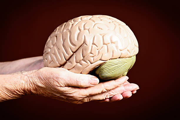 istock Wisdom or loss of mental powers? Old hands hold brain 179330189