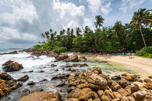 istock panoramic view of mirissa beach, sri lanka 1793302465