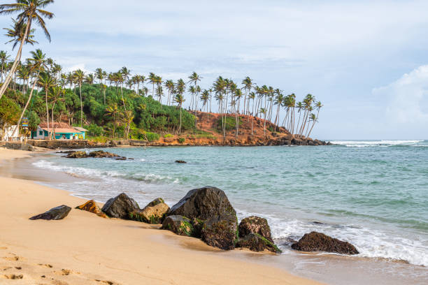 istock panoramic view of mirissa beach, sri lanka 1793302991