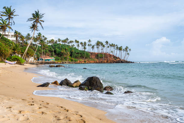 istock panoramic view of mirissa beach, sri lanka 1793302994