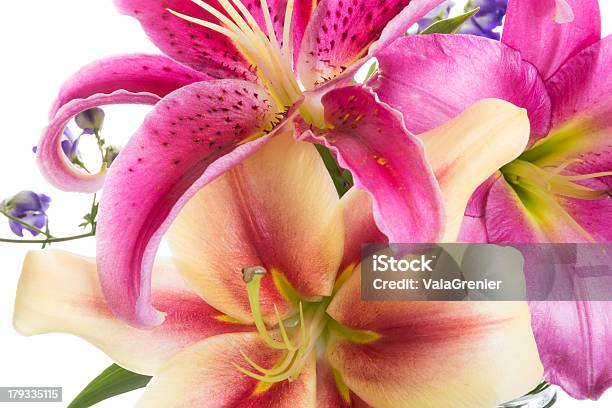 Primer Plano De Un Ramo Con Tres Lilys Oriental Foto de stock y más banco de imágenes de Buqué - Buqué, Lirio estrella, Amarillo - Color