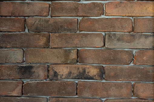 Brick wall, close-up.