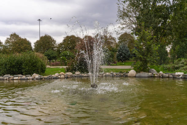 istock Fountain in the park surrounded by greenery 1793354758