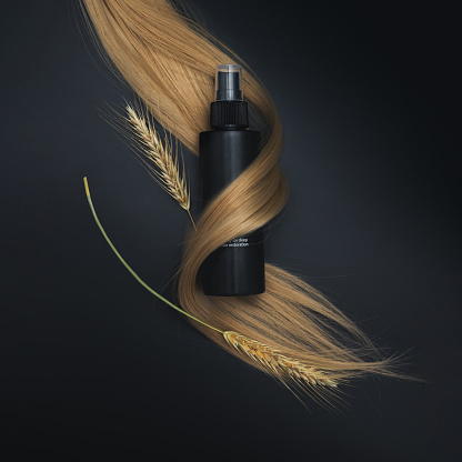 Blond long hair with Hair care spray and sprigs of ripe wheat. Healthy hair. Black background. Hair tools, beauty and hairdressing concept.