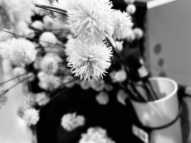 Indoor flowers in a vase